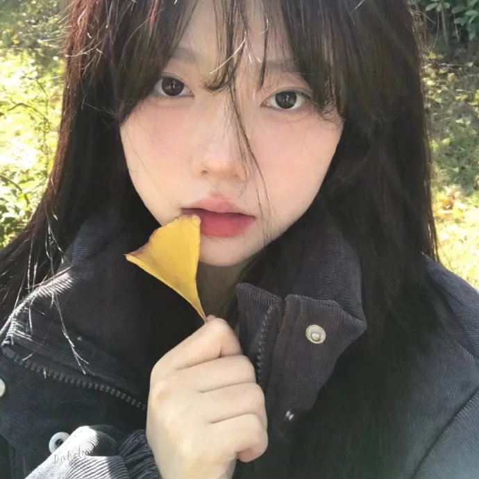 隐藏的面孔